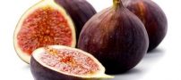 از خواص میوه انجیر چه می دانید؟