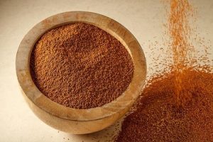 از کاربرد خاکشیر در طب سنتی چه می دانید؟