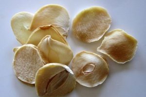 از خواص جالب موسیر چه می دانید؟