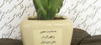 با متفاوت ترین کارت عروسی این زوج ایرانی آشنا شوید (عکس)