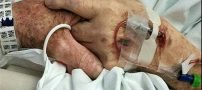مرگ عاشقانه این زوج سالمند همه را شوکه کرد (عکس)