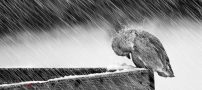 شعر عاشقانه و خواندنی نمیزارم که برگردی!