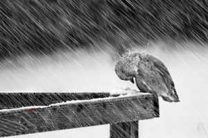 شعر عاشقانه و خواندنی نمیزارم که برگردی!