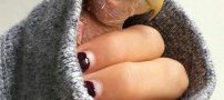 بانمک ترین مرغ عشق دنیا را بشناسید (عکس)