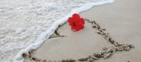 شعر عشق را درد مگویی که از هلالی جغتایی