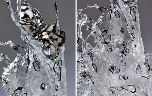 عکس هایی از ساخت مجسمه های باورنکردنی از جنس آب و یخ