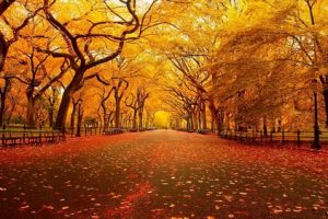 شعر خواندنی بیچاره پاییز