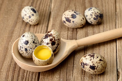 از خواص جالب تخم بلدرچین چه میدانید؟!