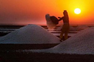 عکس هایی از کارگران در حال استخراج نمک