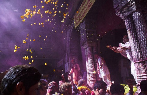 عکس های جذاب و دیدنی از جشنواره هولی در هند