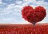 اس ام اس عاشقانه جذاب