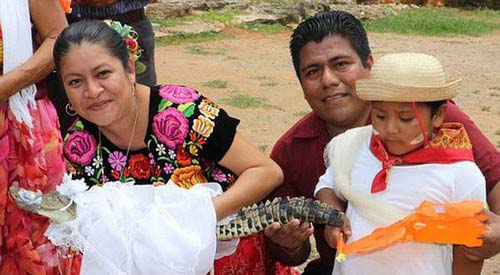 رسم وحشتناک ازدواج با تمساح در مکزیک (عکس)