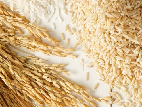 نکاتی جالب درباره ی خواص سبوس برنج