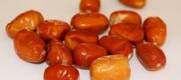 از خواص دارویی سنجد چه می دانید؟!