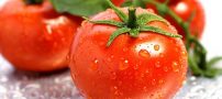 گوجه فرنگی و ضدآفتاب چه رابطه ای با هم دارند؟