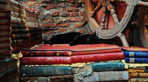 عکس های دیدنی از کتابخانه ی جالب در ونیز