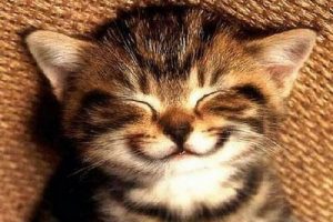 جوک و لطیفه های خنده دار جدید