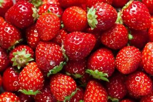 چگونه در خانه توت فرنگی پرورش بدهیم؟