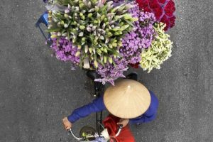 عکس هایی جالب از زیباترین دوچرخه های دستفروش