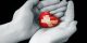 جدیدترین شعر عاشقانه و زیبا