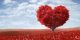شعرهای جالب از آقای مصدق و فروغ فرخزاد