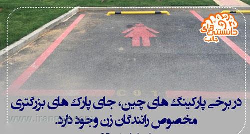 دانستنی های جالبی که میخواهید بدانید دانستنی های جالبی که میخواهید بدانید
