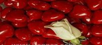 تازه ترین شعرهای عاشقانه و رمانتیک