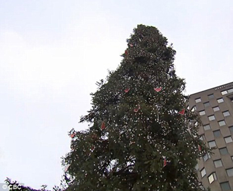 سوژه شدن زشت ترین درخت کریسمس