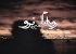 شعر عاشقانه دلتنگی و تنهایی