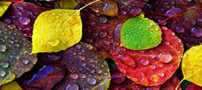 زیباترین جملات تاثیر گذار درباره زندگی