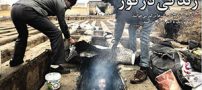 جزئیات ماجرای گورخواب ها در قبرستان نصیر آباد +تصاویر