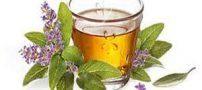 خوردن این سه گیاه شهوت را افزایش میدهد