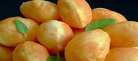 آموزش تهیه نان پوری هندی