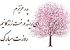 زیباترین عکس نوشته های تبریک روز مرد و روز پدر