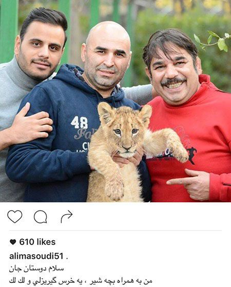 اخبار و عکسهای جدید بازیگران و چهره ها در آذر ماه اخبار و عکسهای جدید بازیگران و چهره ها در آذر ماه