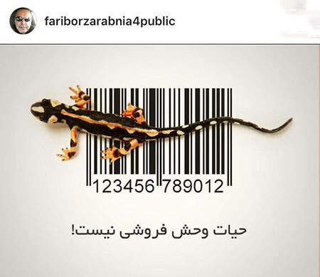 آخرین خبرها و تصاویر جدید بازیگران و هنرمندان ایران