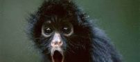 عکسهای دیدنی از شهر ارواح در زیر آب