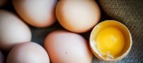 نشانه های یک تخم مرغ فاسد چیست؟