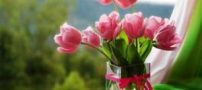 جدید ترین و احساسی ترین دلنوشته ها