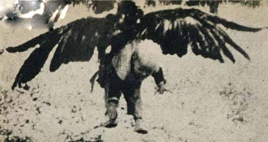 عکس هایی از لحظات شکار یه بچه توسط عقاب