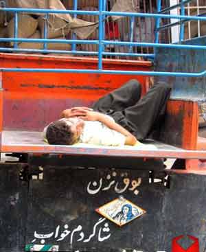 عکسهای فوق العاده زیبا، دیدنی و خنده دار
