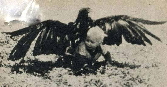 عکس هایی از لحظات شکار یه بچه توسط عقاب