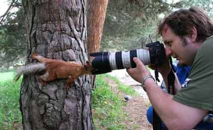 عکسهای فوق العاده زیبا، دیدنی و خنده دار