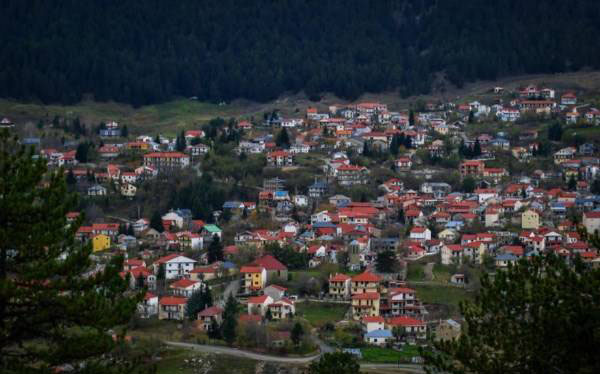 رشد درختی عجیب بر روی سقف کلیسا (عکس) رشد درختی عجیب بر روی سقف کلیسا (عکس)