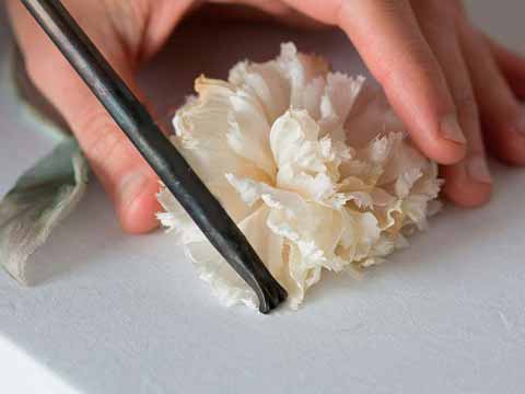 طراحی لباس بسیار زیبای جنیفرلارنس (عکس) طراحی لباس بسیار زیبای جنیفرلارنس (عکس)