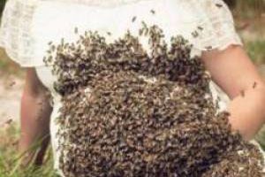 حمله 20 هزار زنبور به شکم این زن حامله (عکس)