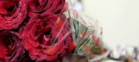 اس ام اس های بسیار عاشقانه و زیبا سری جدید