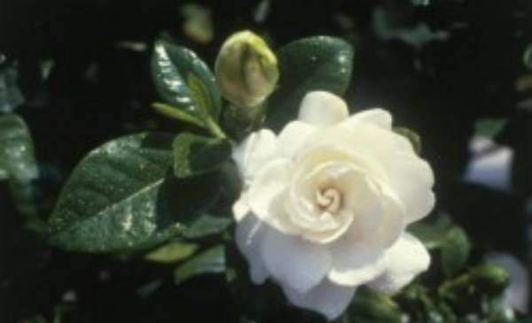 سوتی خنده دار کیم کارداشیان در اینستاگرامش (عکس) سوتی خنده دار کیم کارداشیان در اینستاگرامش (عکس)