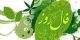 فال روزانه سه شنبه 02 آبان 1396