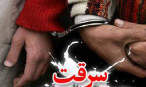 دزدی عجیب این سارق سایقه دار (عکس)